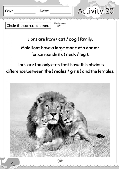Preschool 2 Literacy 2 Activity 20